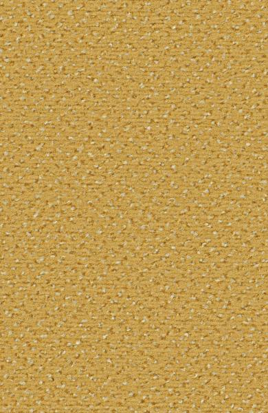 Rechteckbild vom Alexis